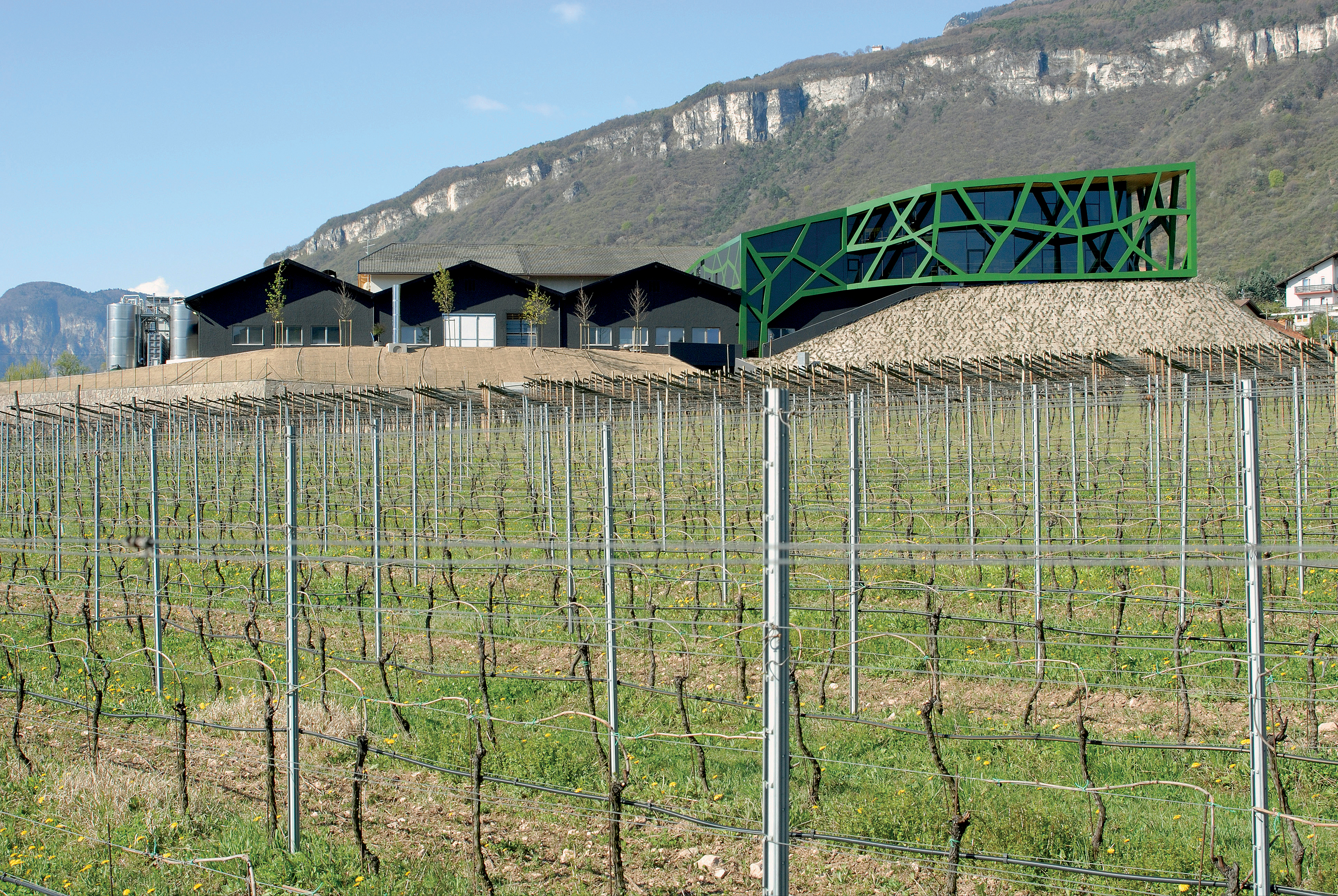 La Cantina Tramin in Alto Adige