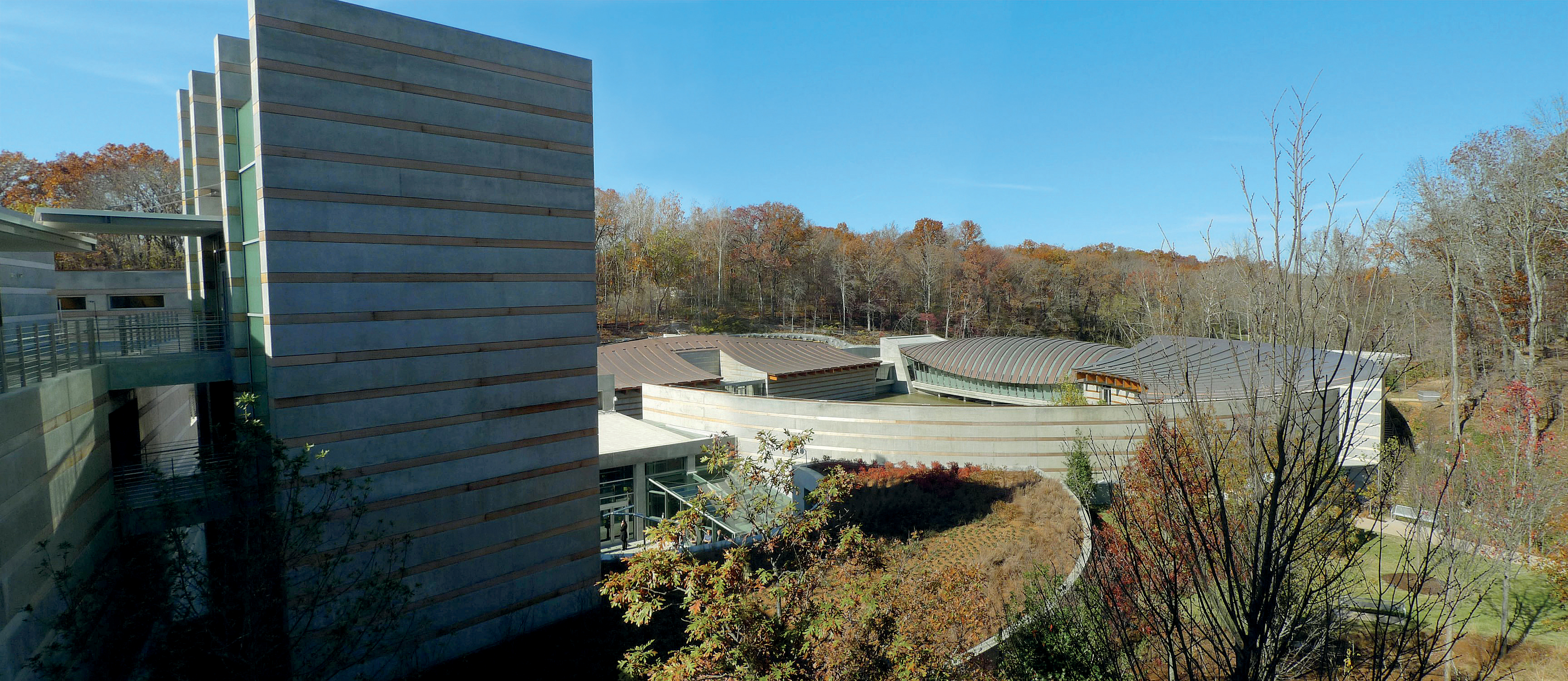 Lerede di Walmart rivaluta il brand donando un museo sublime