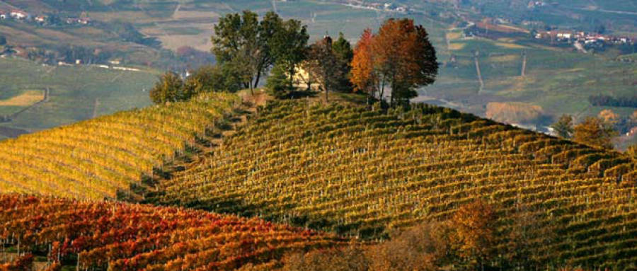 Con Langhe, Roero e Monferrato l’Italia fa 50