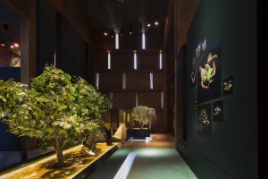EXPO2015_ph-LUC-BOEGLY2