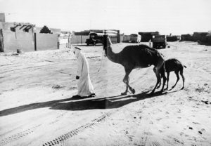 Insediemanto di sha'abi ad Abu Dhabi, anni '70