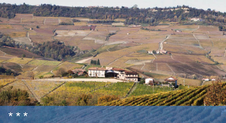 Tra vino e terra, metafora del paesaggio delle Langhe