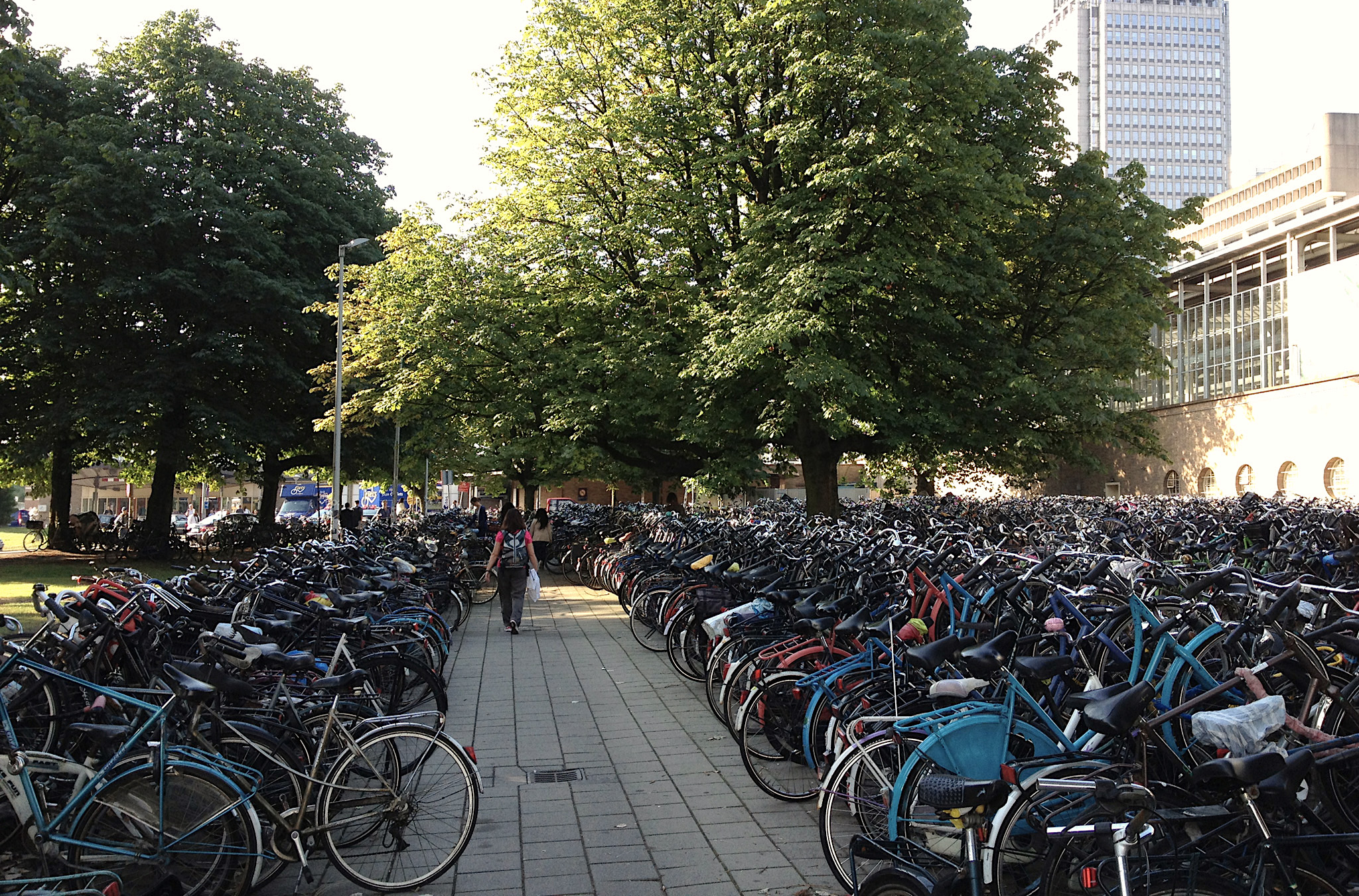 Mobilità ciclabile: una svolta culturale, politica e tecnica per l’assetto dei territori urbani e metropolitani