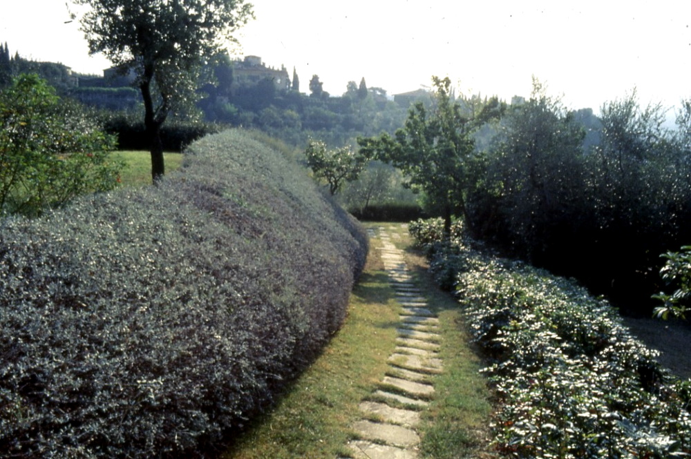 L’AIAPP e l’architettura del paesaggio in Italia: 70 anni di storia