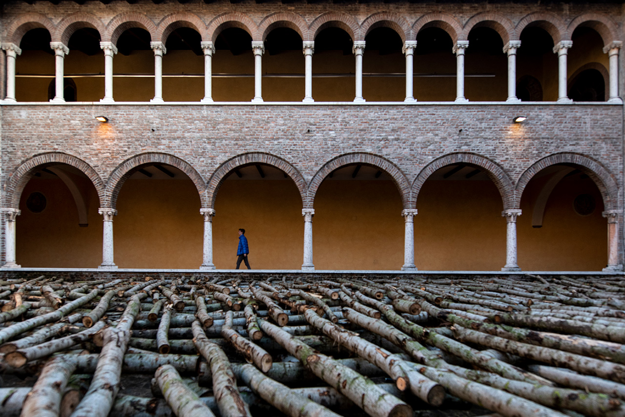 Forestazione urbana, a che punto stiamo?