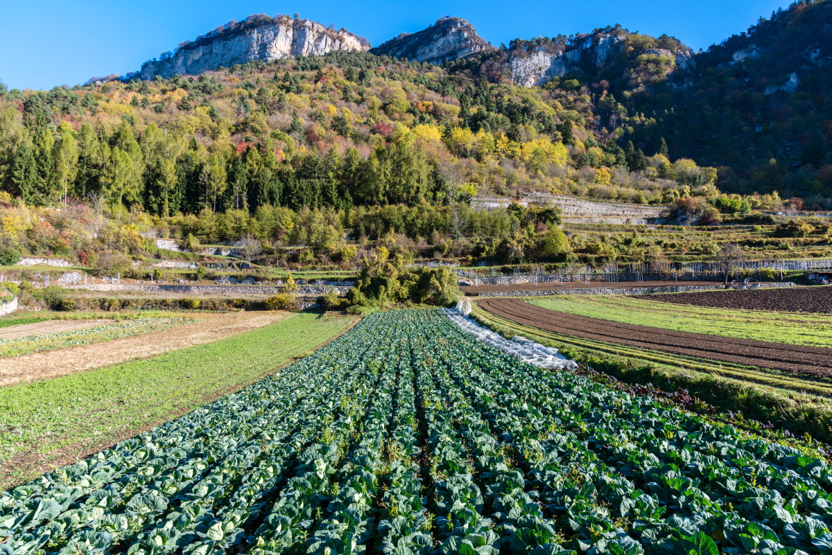 Un nuovo manifesto per il paesaggio