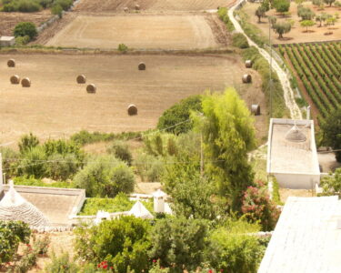 La giusta distanza. I piani paesaggistici tra vincoli e progetti di paesaggio