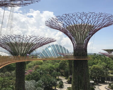 Ritratti di città. Singapore, il fil rouge è verde/1