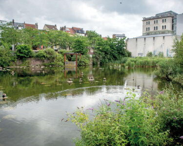 Lago Bullicante e Marais Wiels, inselvatichimento vs speculazione