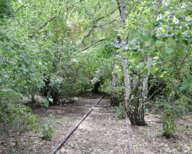 Lost Landscapes, il paesaggio al centro