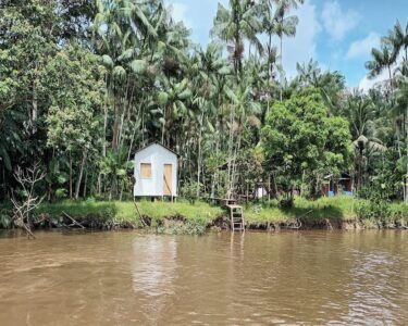 COP30: per un futuro migliore, dovremo imparare dall’Amazzonia