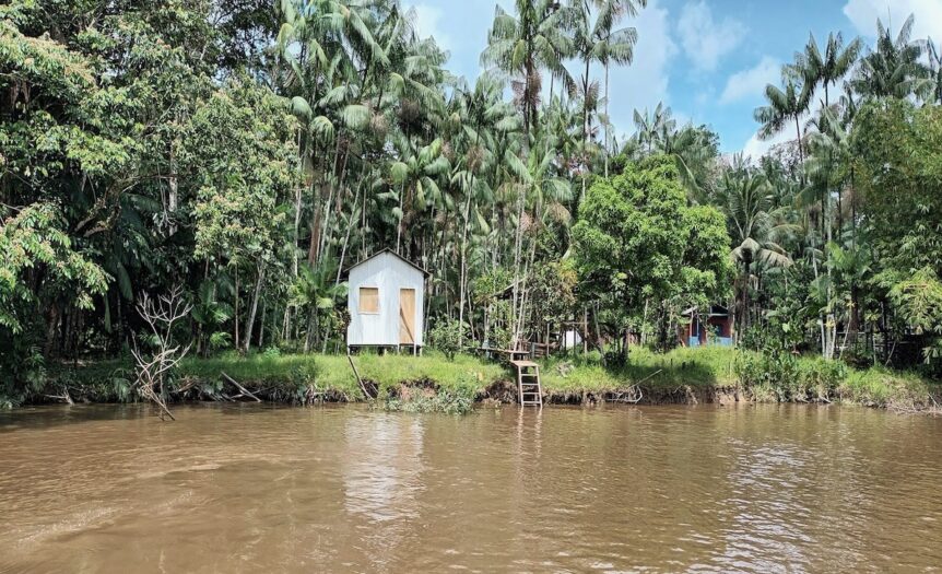 COP30: per un futuro migliore, dovremo imparare dall’Amazzonia