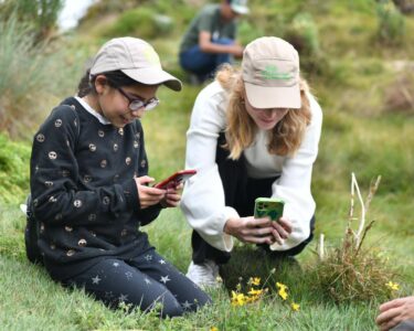 Il ruolo della tecnologia per città e territori più verdi