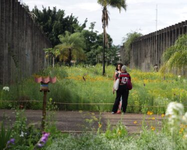 Brasilia, una nuova savana tra i setti di Niemeyer