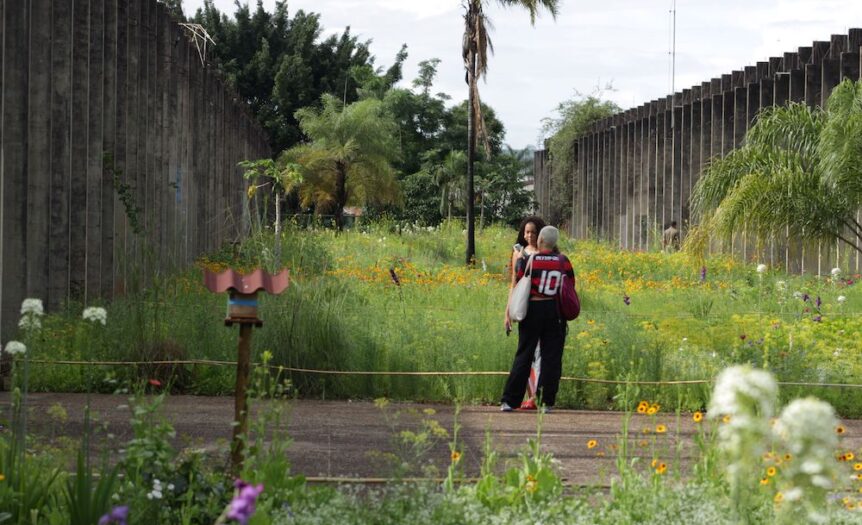 Brasilia, una nuova savana tra i setti di Niemeyer