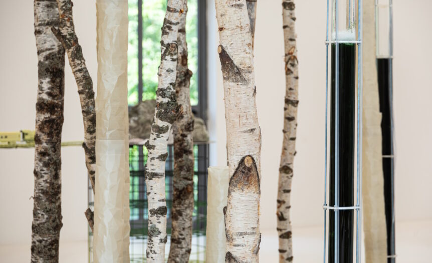 Upcycling: lo scarto come risorsa per costruire