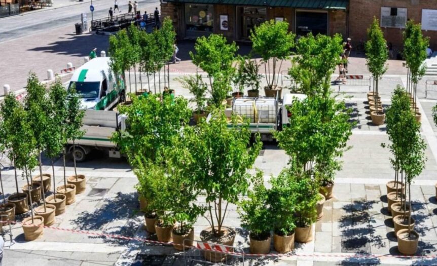 Piante nei centri storici, il rischio di un grottesco greenwashing