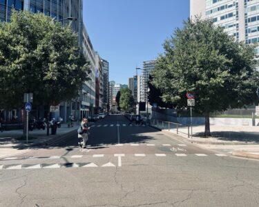 Il verde urbano come infrastruttura vitale