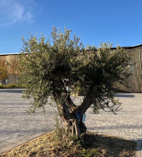 Un grande, raffinato, magazzino per rivoluzionare l’agricoltura