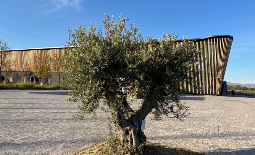 Un grande, raffinato, magazzino per rivoluzionare l’agricoltura