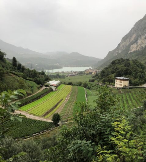 Firenze, 25 anni dopo: al paesaggio serve un progetto