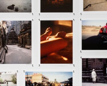 Milano sotto l’albero: sguardi ibridi in mostra