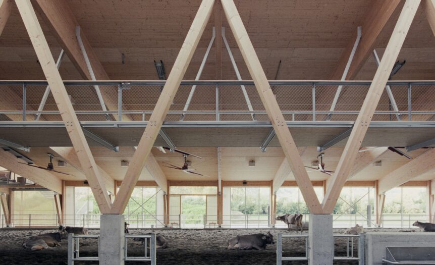 Wood Architecture Prize 2026: convergenza alpina