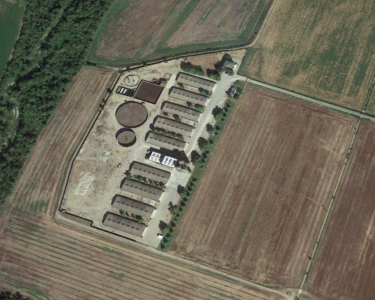 Intrecci di uomini e animali, di vita e morte. E di architetture ignote