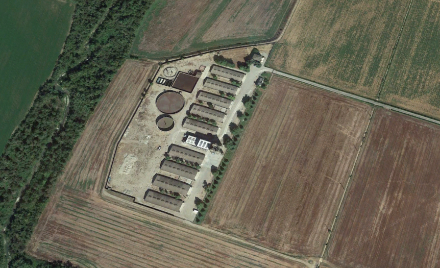 Intrecci di uomini e animali, di vita e morte. E di architetture ignote