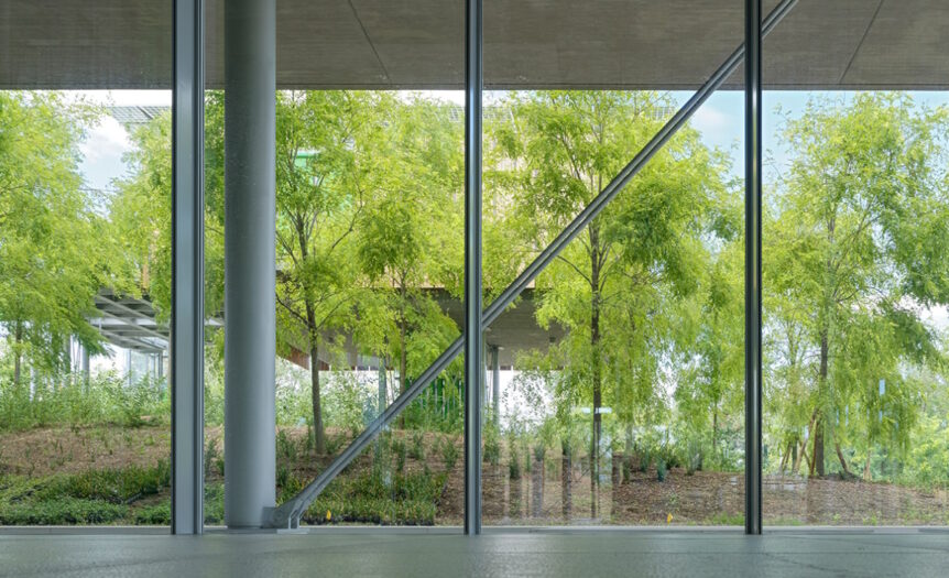 Renzo Piano tra le chiome degli alberi: la bellezza riguarda tutti