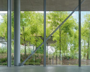 Renzo Piano tra le chiome degli alberi: la bellezza riguarda tutti