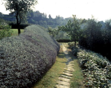 L’AIAPP e l’architettura del paesaggio in Italia: 70 anni di storia