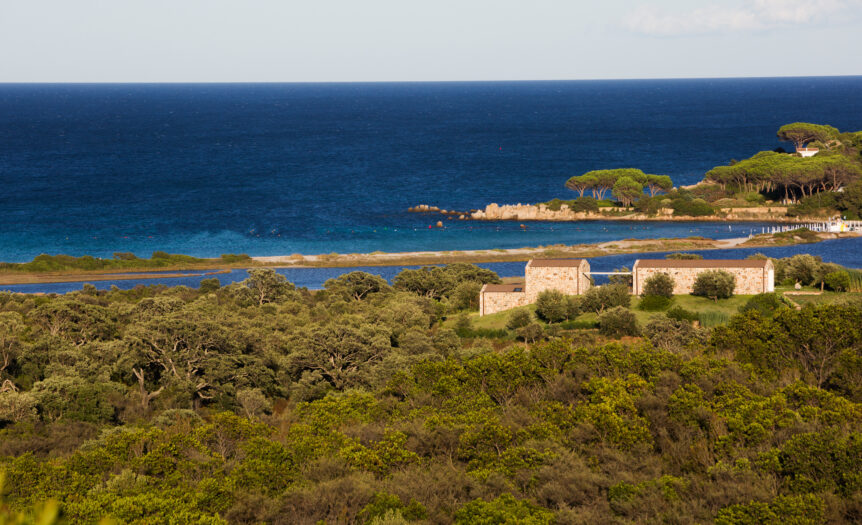 Sardegna, qualità emergente (e resistente) negli scenari quotidiani