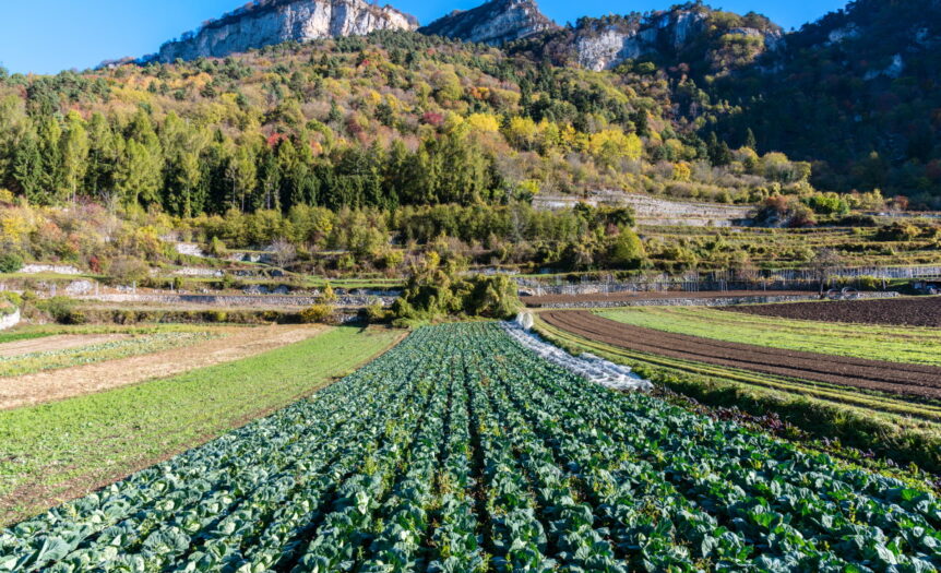Un nuovo manifesto per il paesaggio: 11 punti per ripartire post emergenza