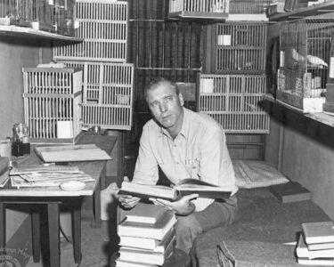 L’uomo di Alcatraz