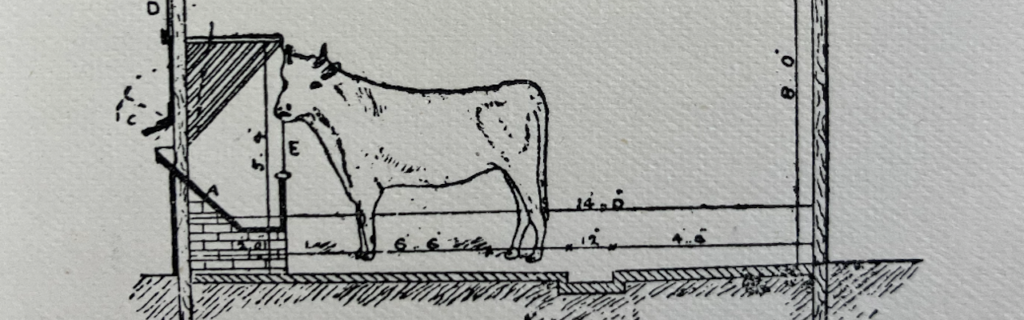 Animal Farm
