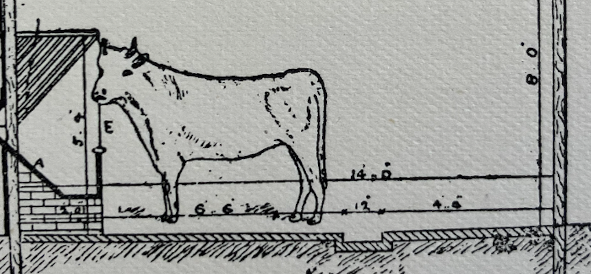 Animal Farm