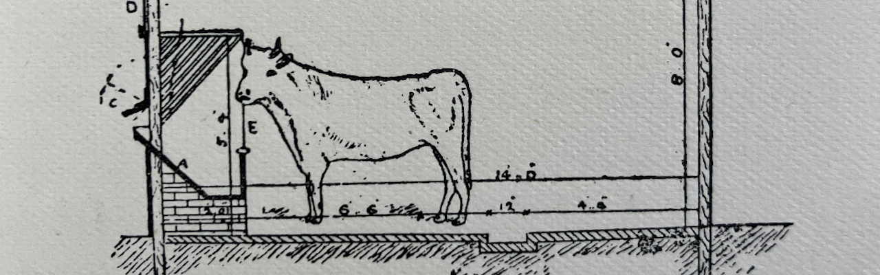Animal Farm