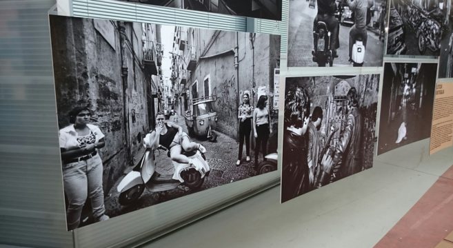 Gang city, benvenuti nella giungla urbana