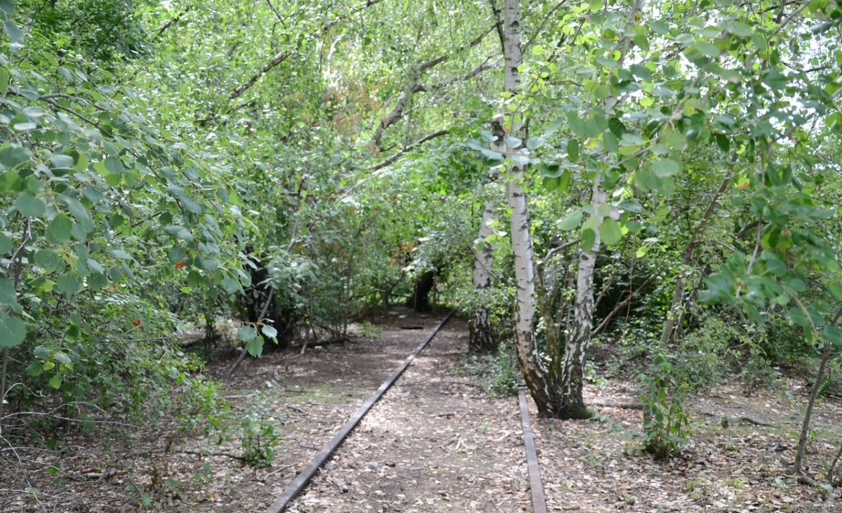 Lost Landscapes, il paesaggio al centro