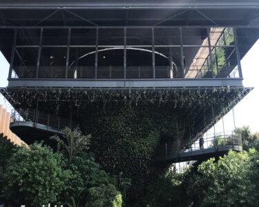 Singapore: la città nella natura