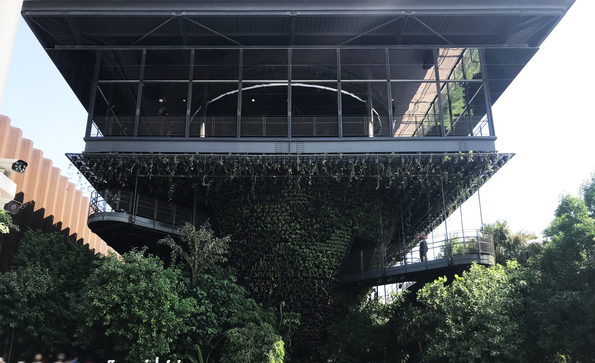 Singapore: la città nella natura