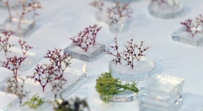 Concorsi: un bando di qualità è una tutela per tutti