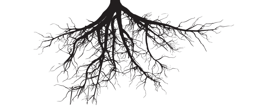 Gli alberi sono sempre in quarantena?
