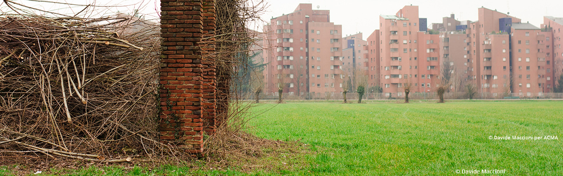 Echi dal territorio