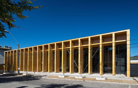 Studio Elemental, progetti di ricostruzione post terremoto a Constitución (Cile)