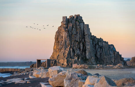 Studio Elemental, progetti di ricostruzione post terremoto a Constitución (Cile)