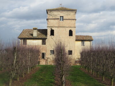 Nella campagna di San Felice sul Panaro, Modena (Foto di Paolo Campagnoli)