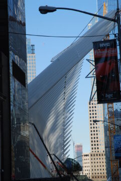 (foto di Silvio Cassarà)