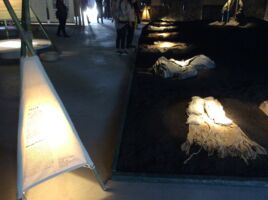 © Alessandro Colombo